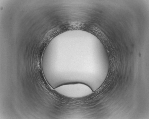 X0000059810706200510210922