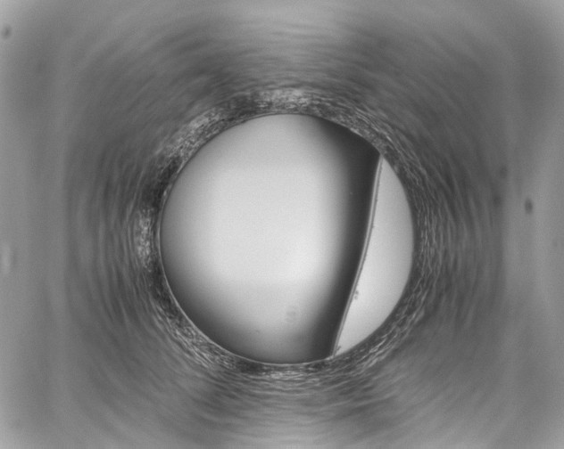 X0000059810708200510210922