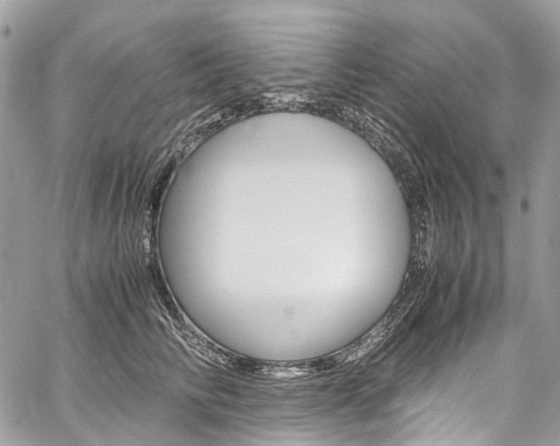 X0000059810710200510210922