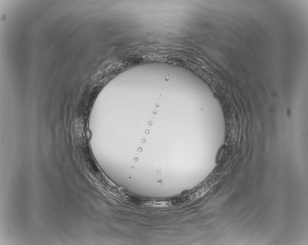 X0000059810711200510210922