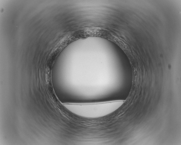 X0000059810712200510210922