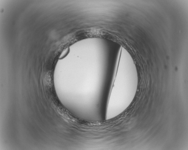 X0000059810715200510210922