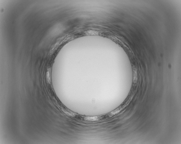 X0000059810717200510210922