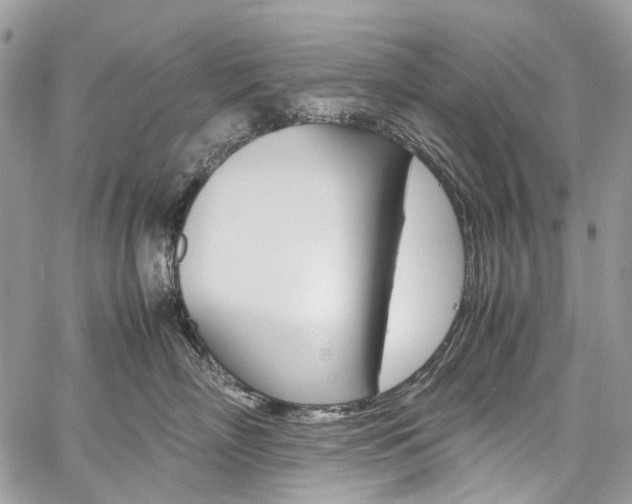 X0000059810718200510210922