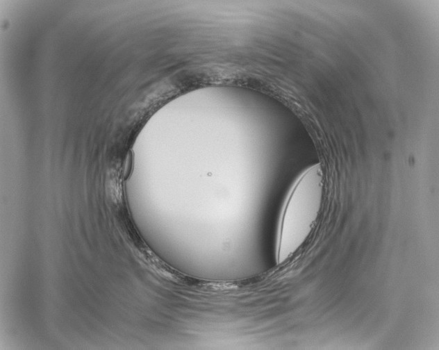 X0000059810719200510210922