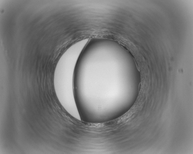 X0000059810720200510210922