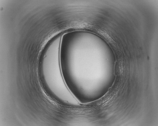 X0000059810728200510210921