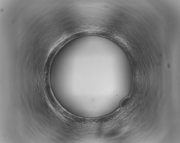 X0000059810730200510210921