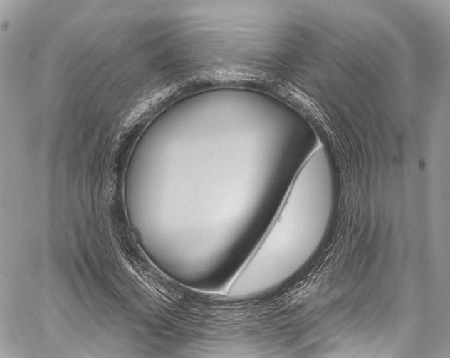 X0000059810732200510210921