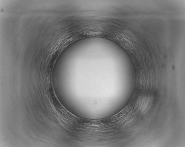 X0000059810743200510210921