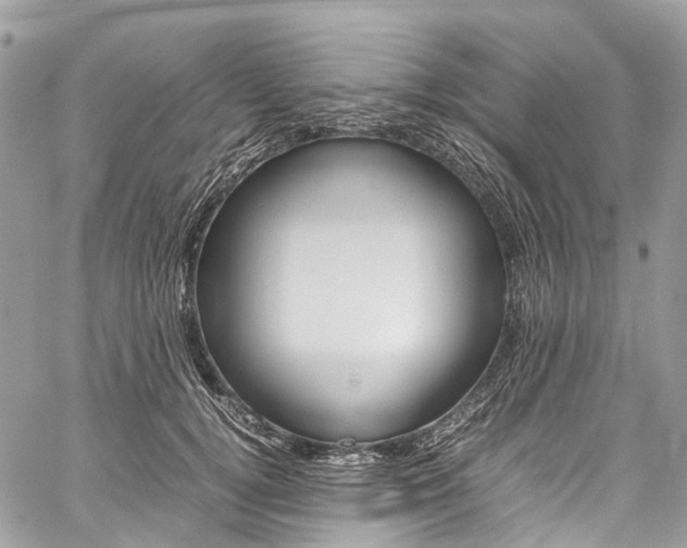 X0000059810752200510210921