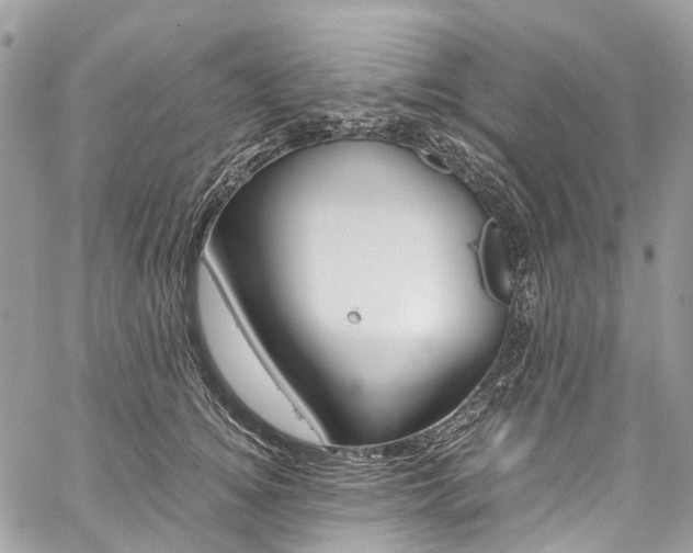 X0000059810756200510210922