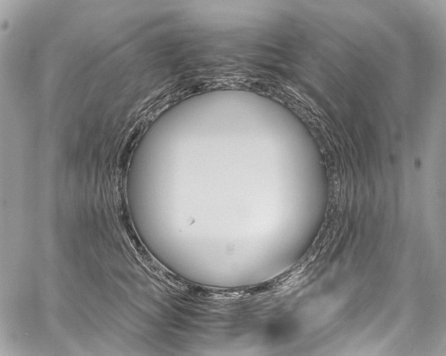 X0000059810757200510210922