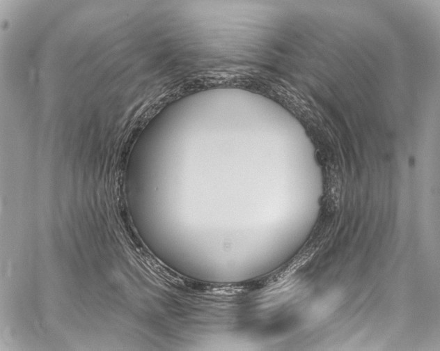 X0000059810758200510210922