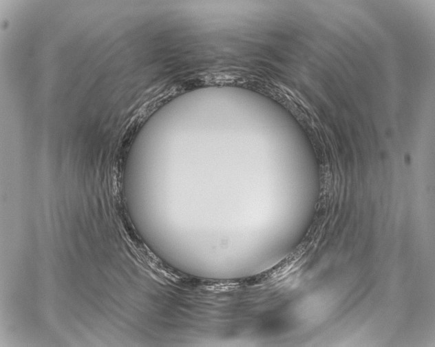 X0000059810761200510210922