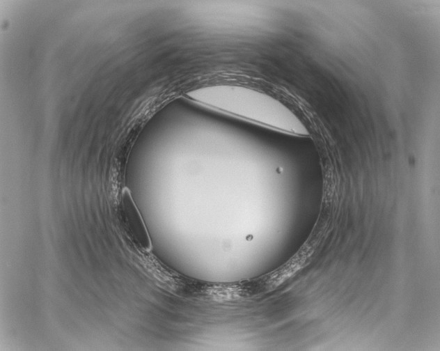 X0000059810762200510210922