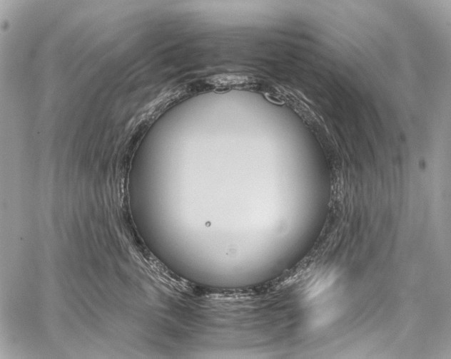 X0000059810763200510210922