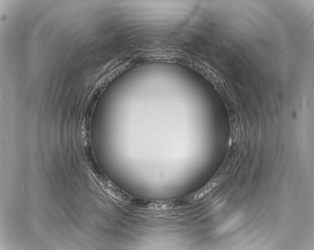 X0000059810764200510210922