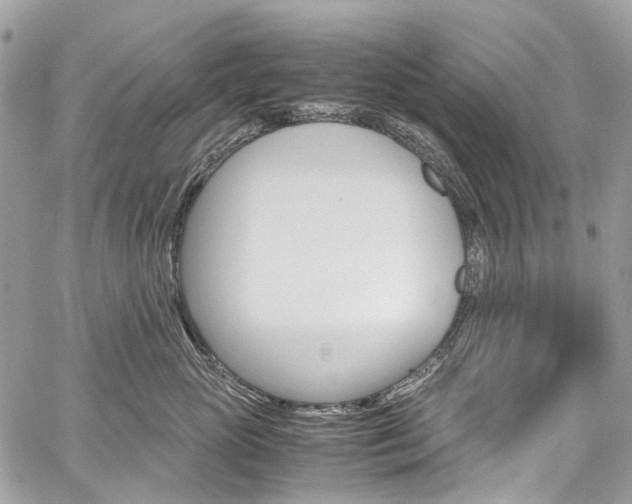 X0000059810765200510210922