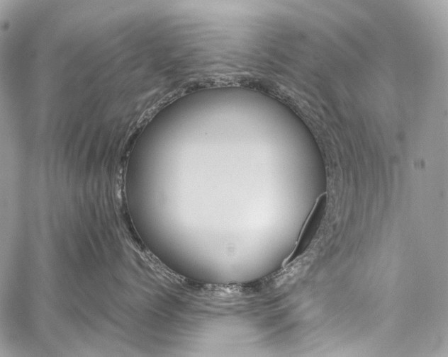 X0000059810768200510210922