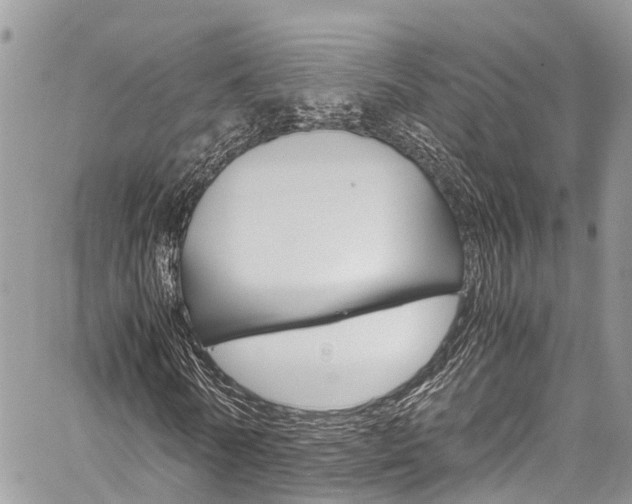 X0000059810770200510210921