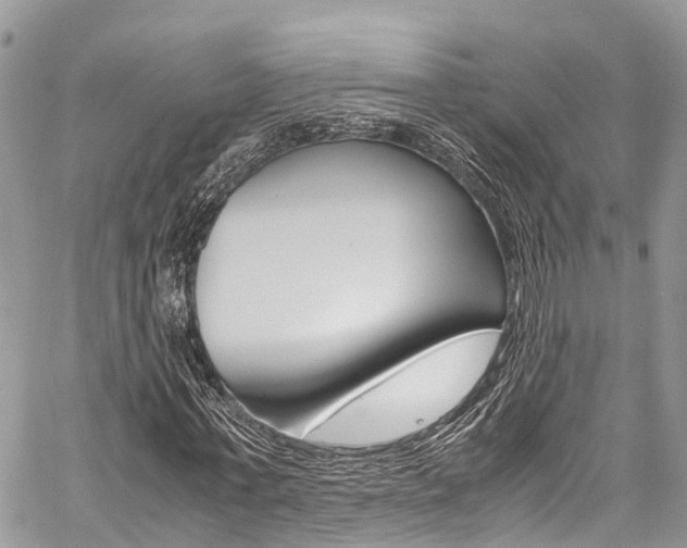 X0000059810771200510210921