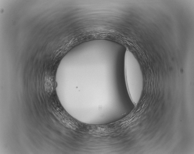 X0000059810772200510210921