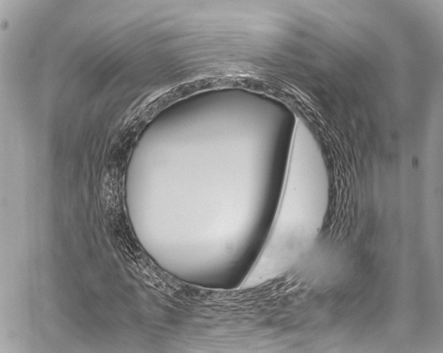X0000059810773200510210921