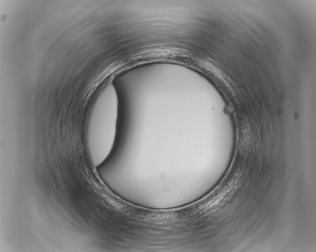 X0000059810778200510210921