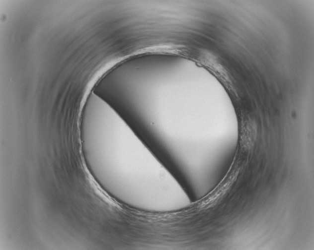 X0000059810808200510210920
