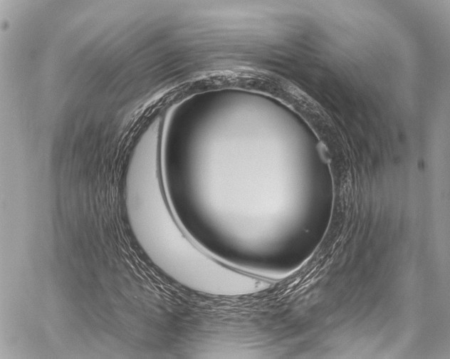X0000059810822200510210919