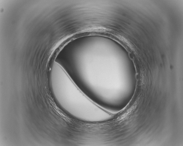 X0000059810830200510210920