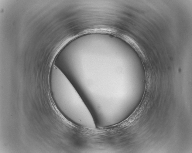 X0000059810852200510210920