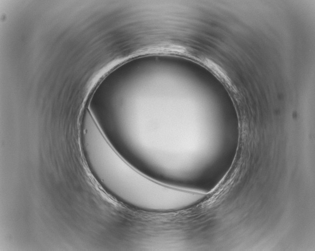 X0000059810854200510210920