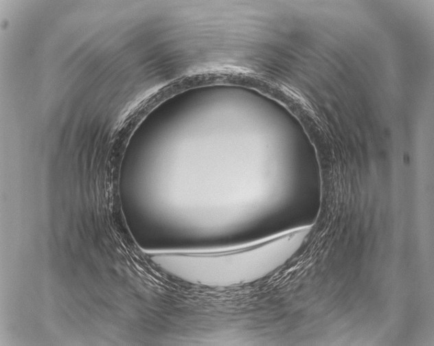 X0000059810872200510210919