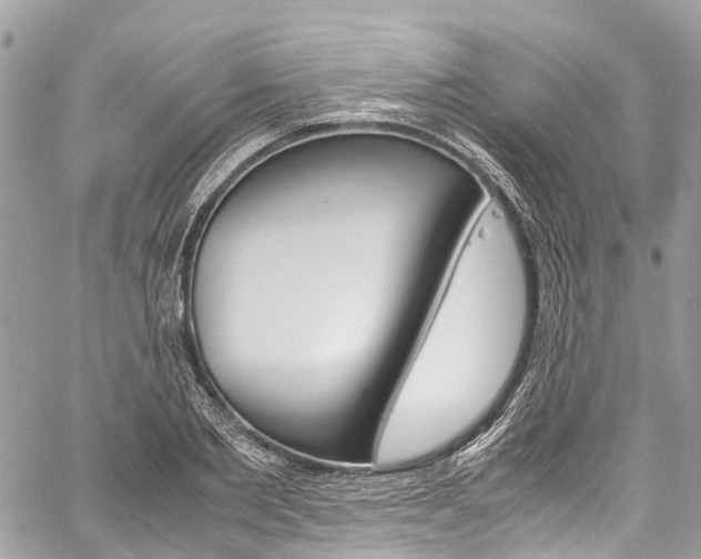 X0000059810885200510210919