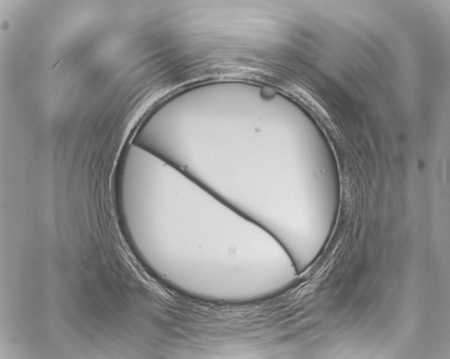 X0000059810891200510210919