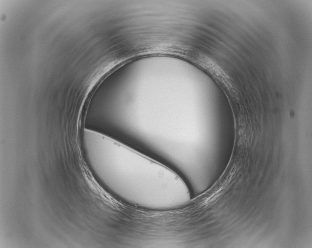 X0000059810892200510210919