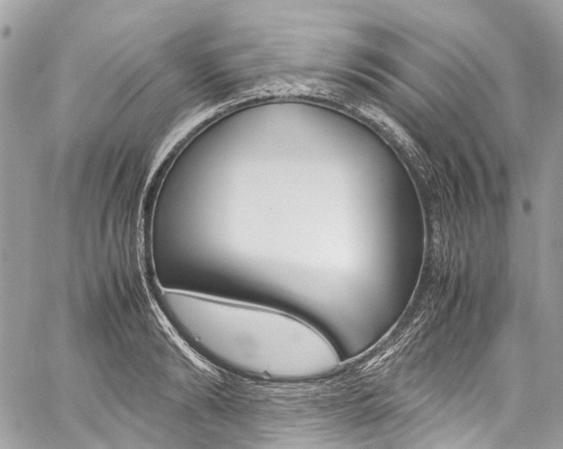 X0000059810894200510210919