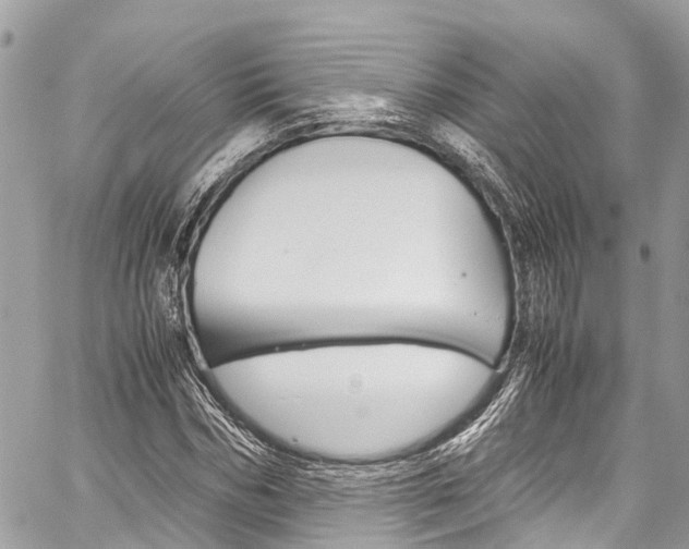 X0000059810970200510210918