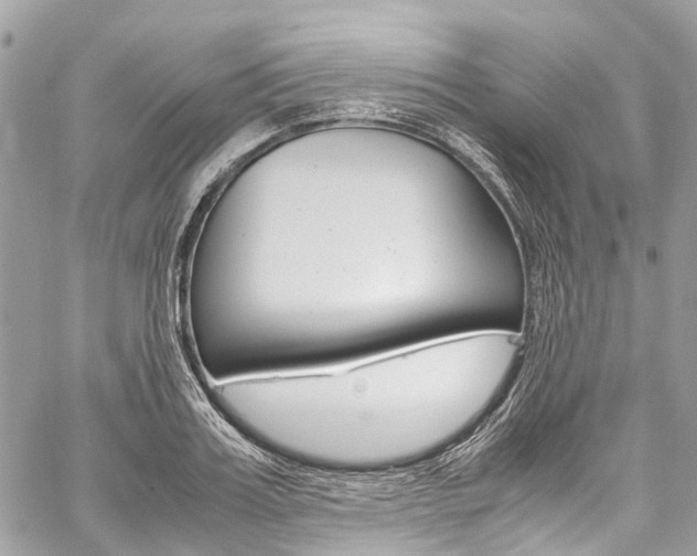 X0000059810987200510210917