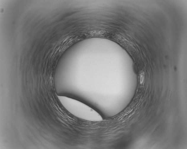 X0000059811011200510210916