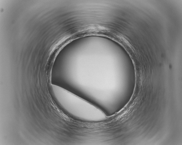 X0000059811018200510210916