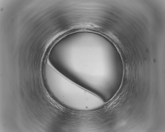 X0000059811020200510210916