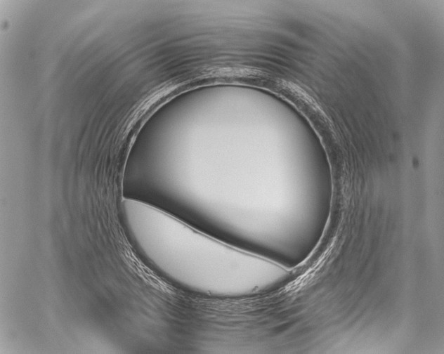 X0000059811025200510210917