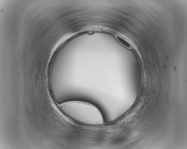 X0000059811045200510210917