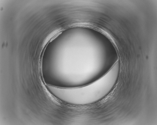 X0000059811050200510210917