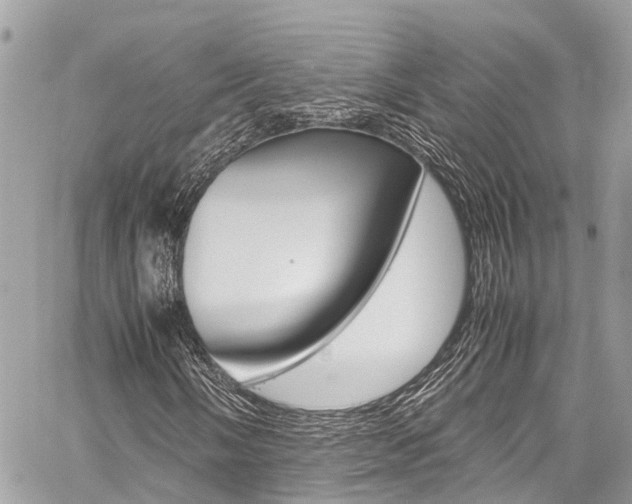 X0000059811058200510210916