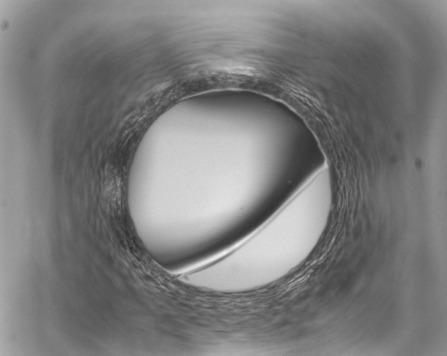 X0000059811061200510210916