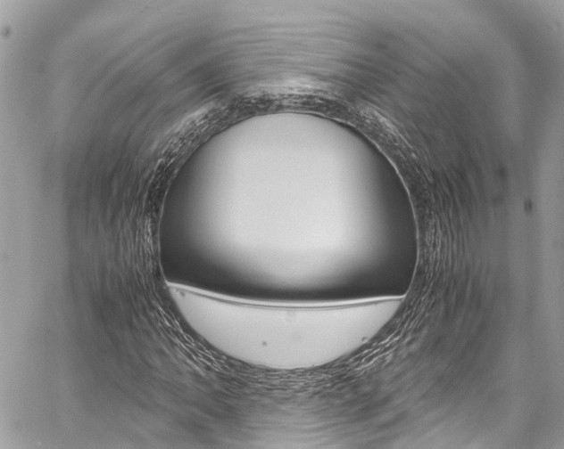 X0000059811062200510210916